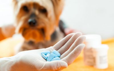 Vetinery medicines