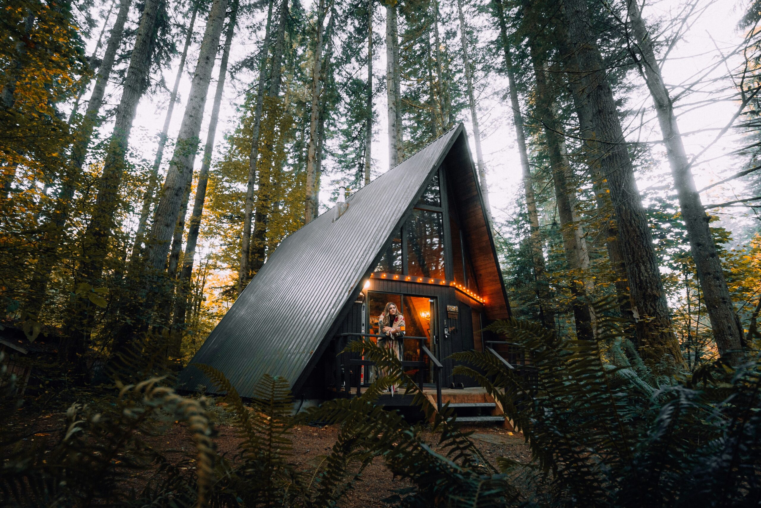 Mountain Cabins